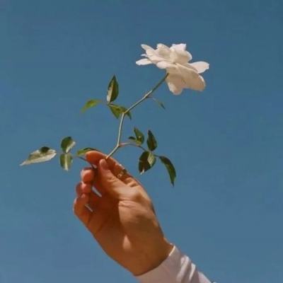 次元学院手游下载