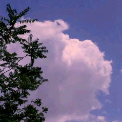 西游降魔录内购破解版下载